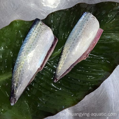 Pacific Frozen Mackerel HGT con mejor calidad